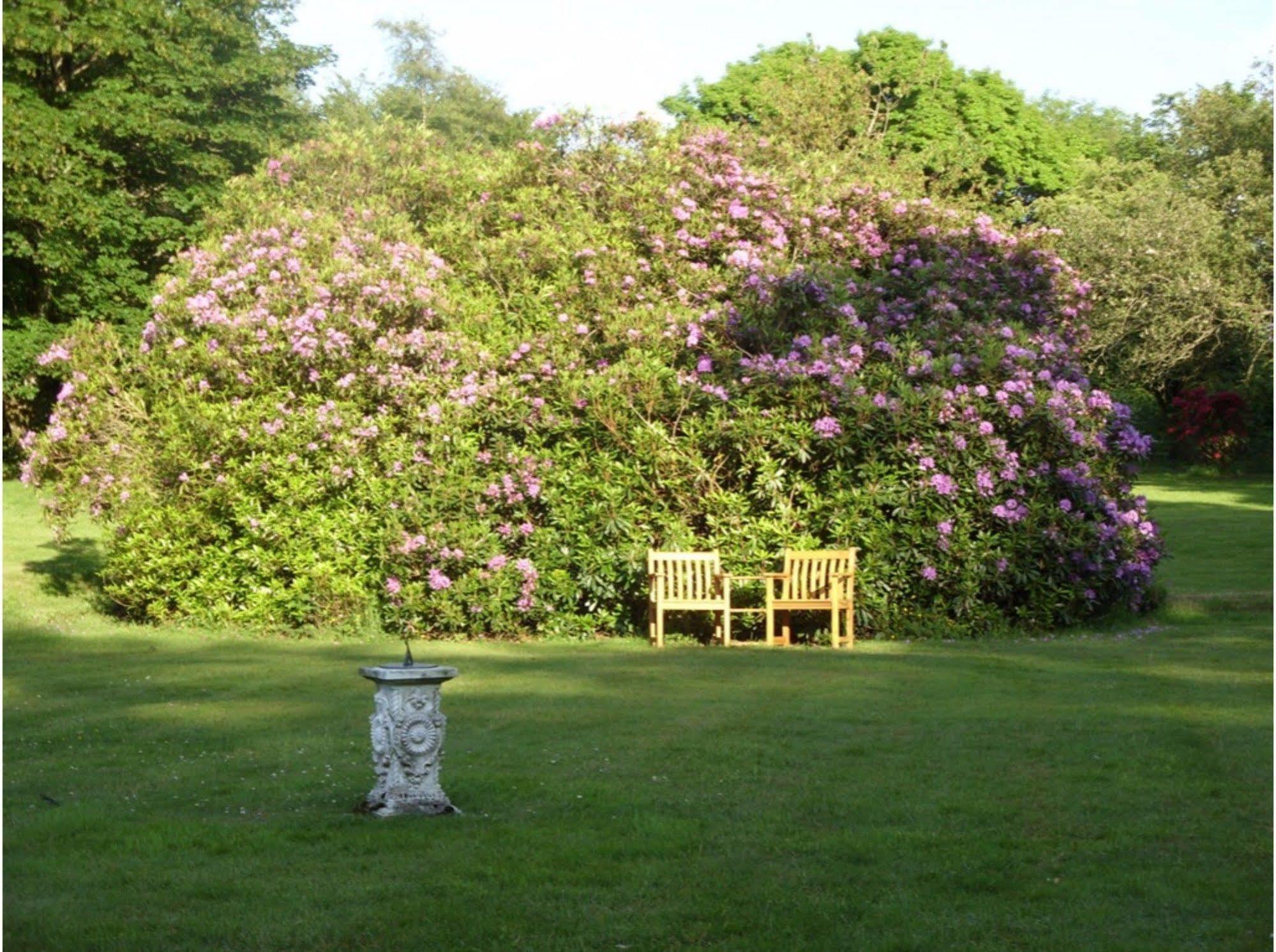 Bed and Breakfast Moorlands Parracombe Экстерьер фото